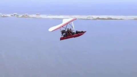 trike fly.mp4